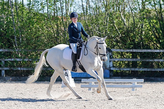 Killcarrick RC, Dressage, CoilOg, 06/04/25