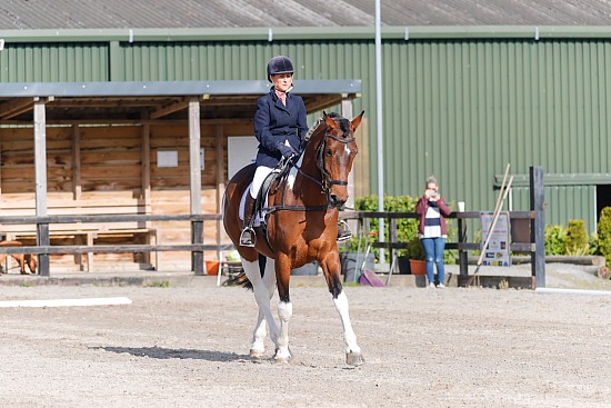 Ashbrook RC, Dressage, Killossery Lodge, 04/05/2025
