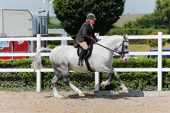 Wicklow Summer Show, Barnadown, 13/07/2025